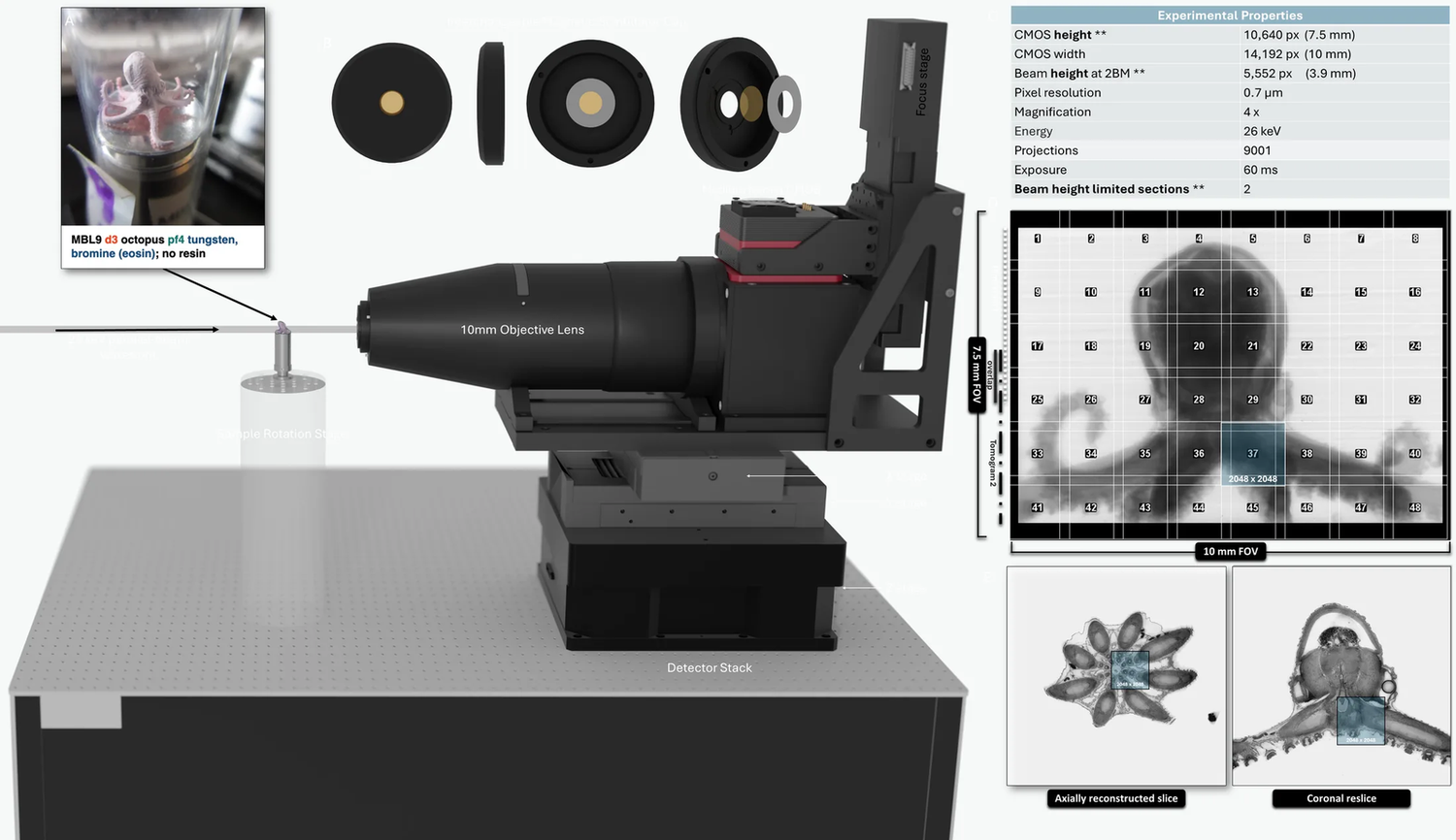 Wide-field detector at APS beamline 2-BM: objective lens, detector stack and rotation stage, with sample slices.