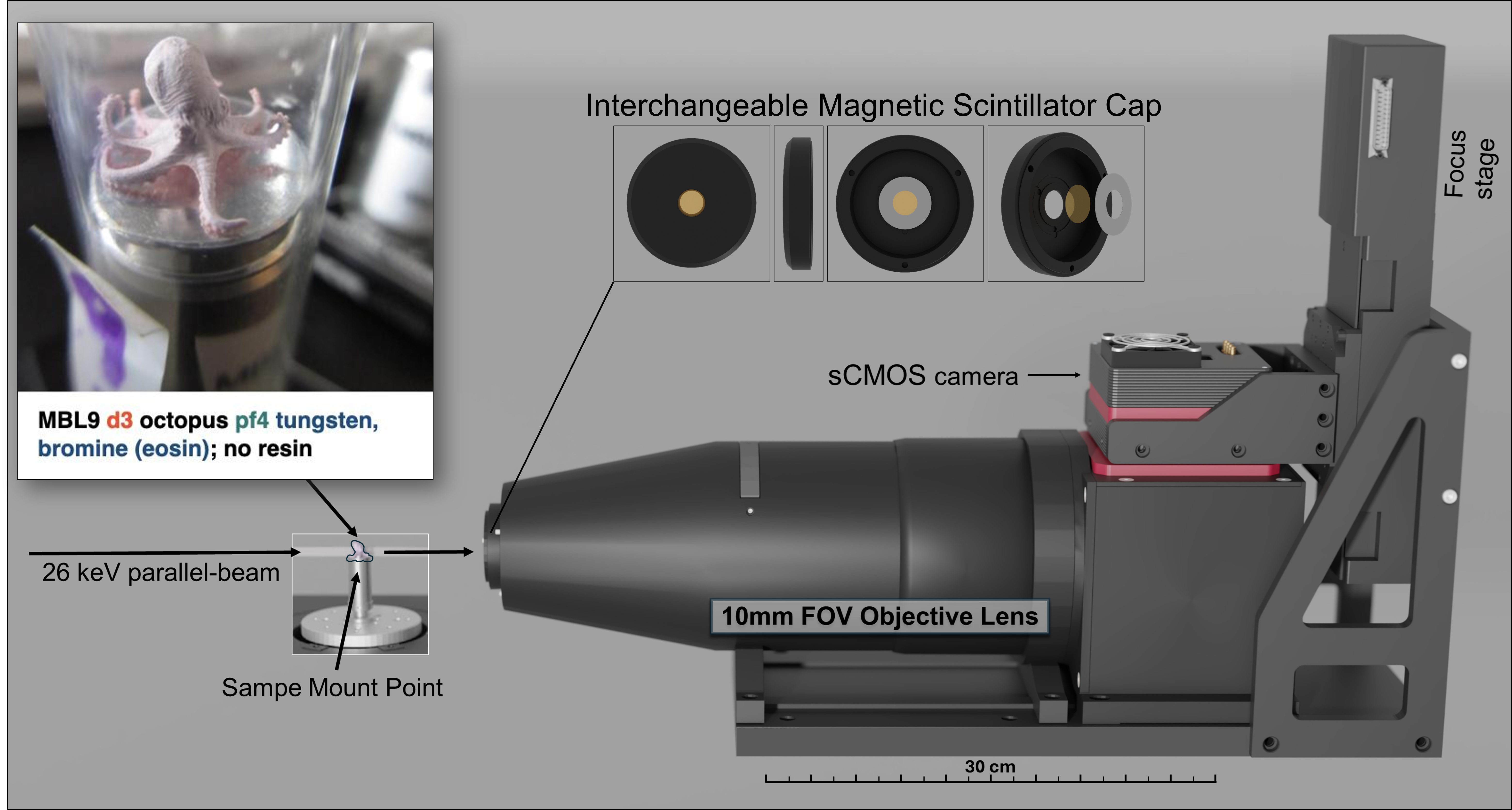 Wide-field micro-CT detector geometry (placeholder)